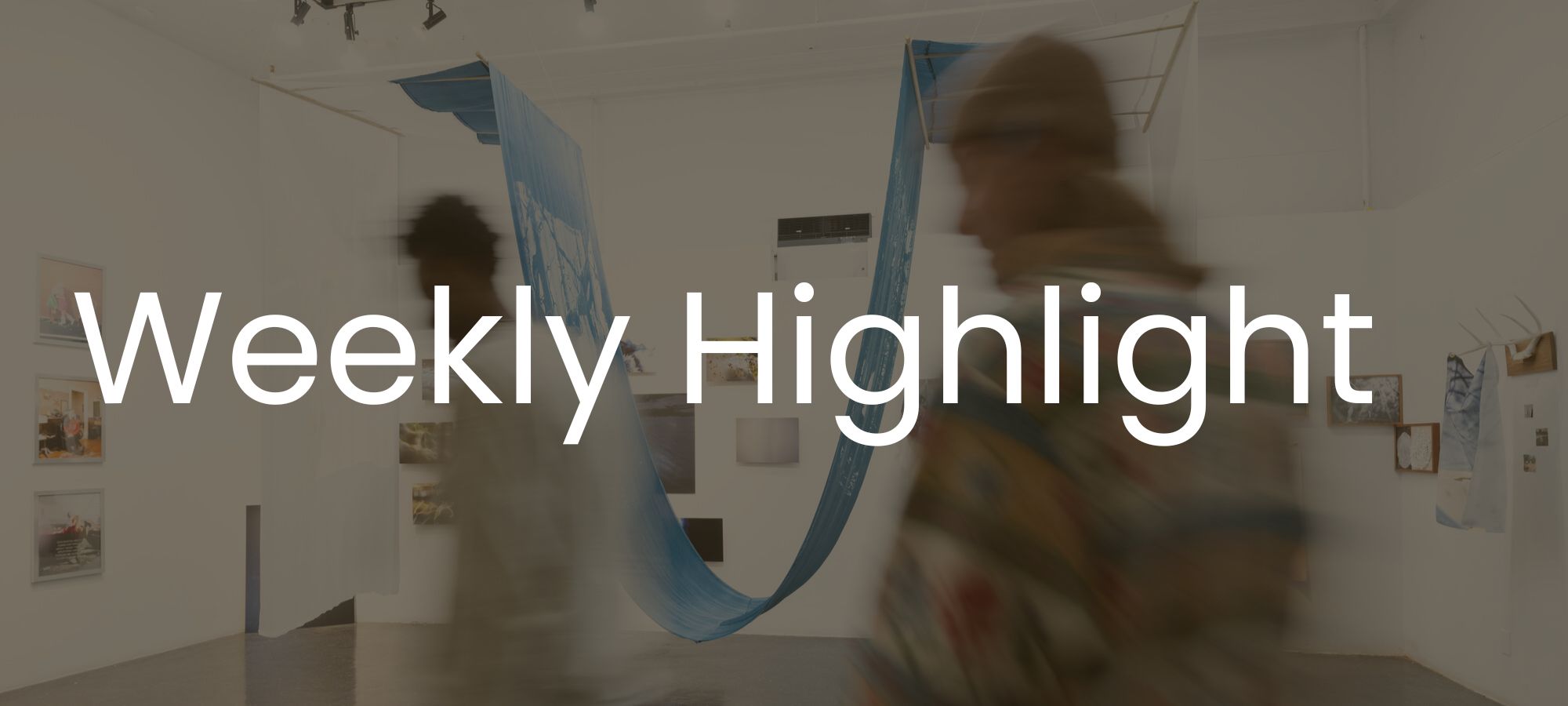 Weekly Highlight