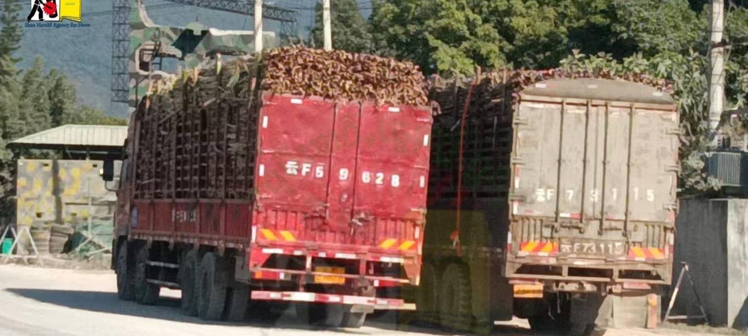 China Continues to Ban Exports to Three Brotherhood Areas
