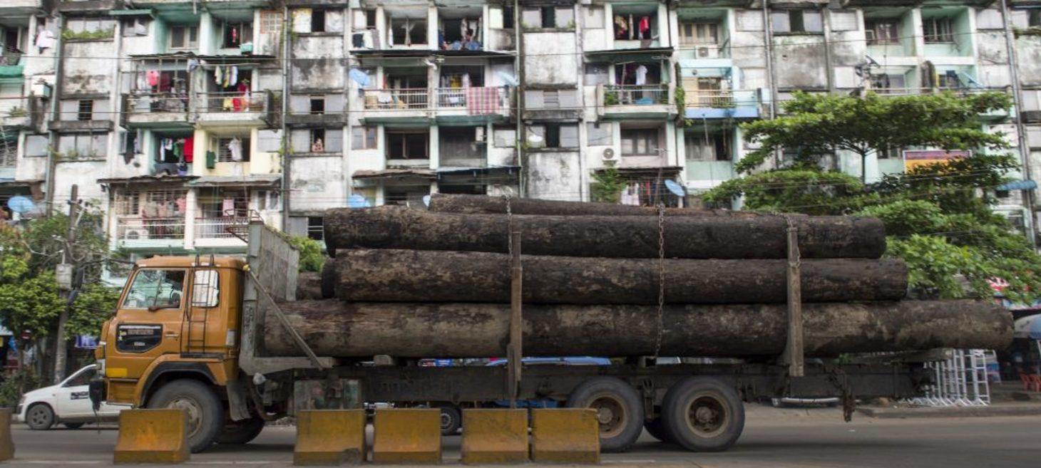 Logged out: Conflict drives deforestation in Bago mountains