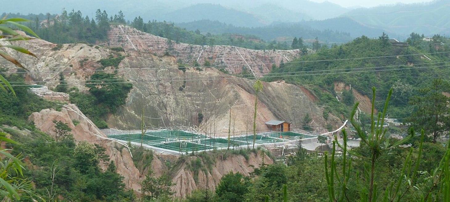 Rare Earths and Realpolitik