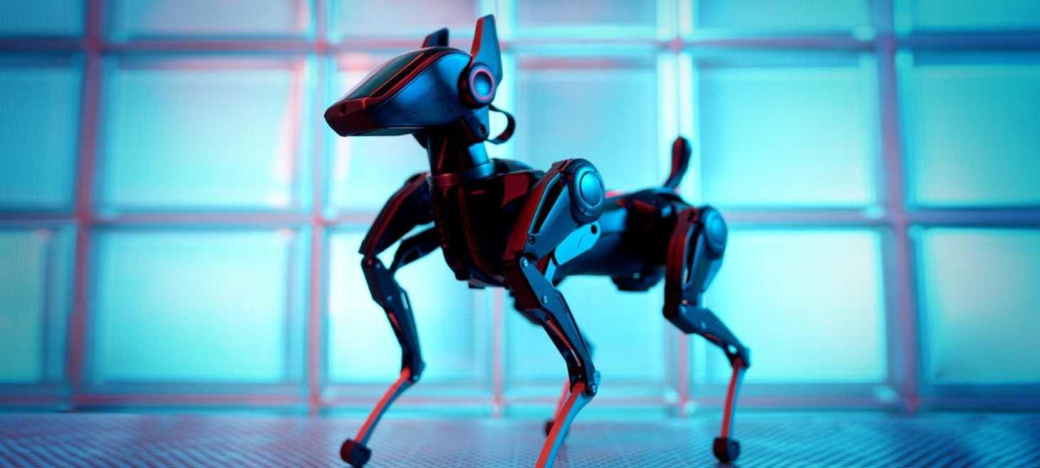 This $1,299 Robot Dog Plays Soccer, Dances and Can 'Evolve' With AI - CNET
