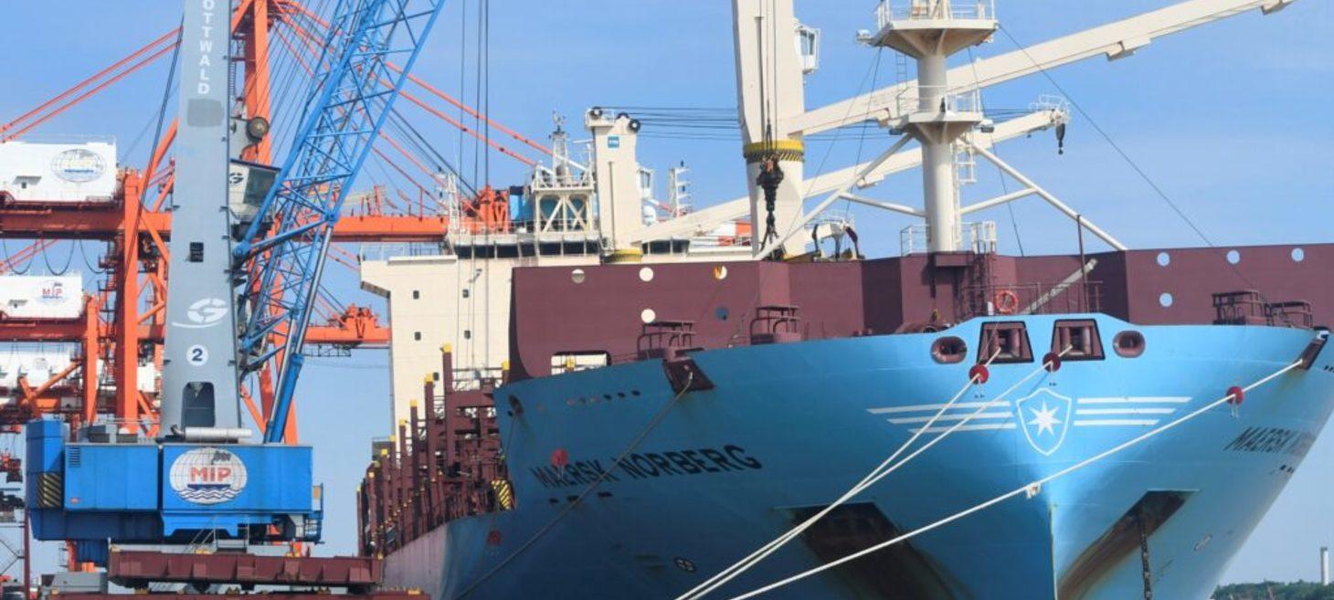 197 firms flagged for export earnings violations