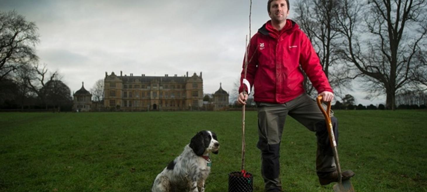 National Trust To Save 300 Cider Apple Trees