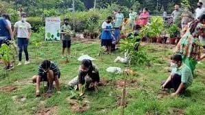 Afforestation as a solution to water crisis