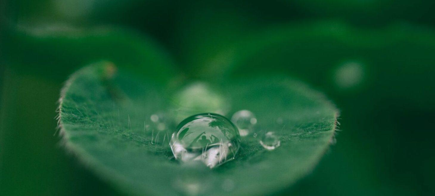 Clarity AI Acquires Sustainability Fintech ecolytiq