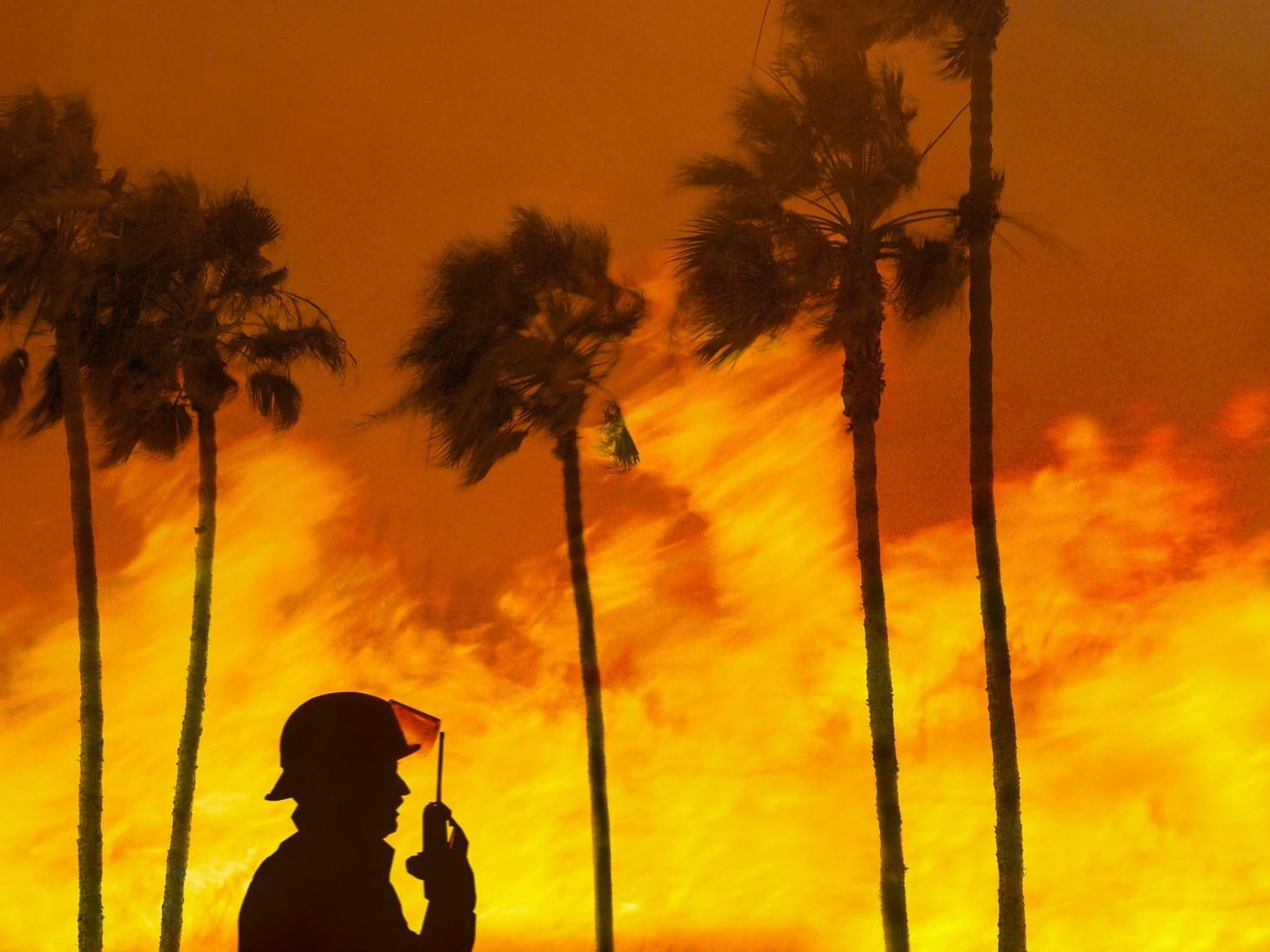 Wildfires Break Seasonal Patterns as LA Fires to Cost Insurers a Record $40 Billion