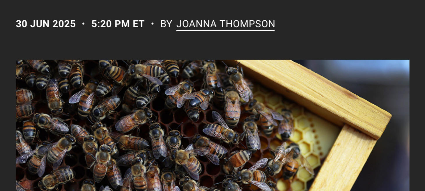Science.org article by Joanna Thompson