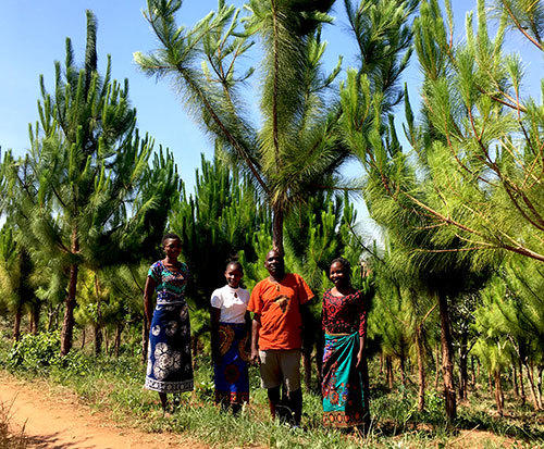 Tree Planting in Malawi | Community tree planting in Africa