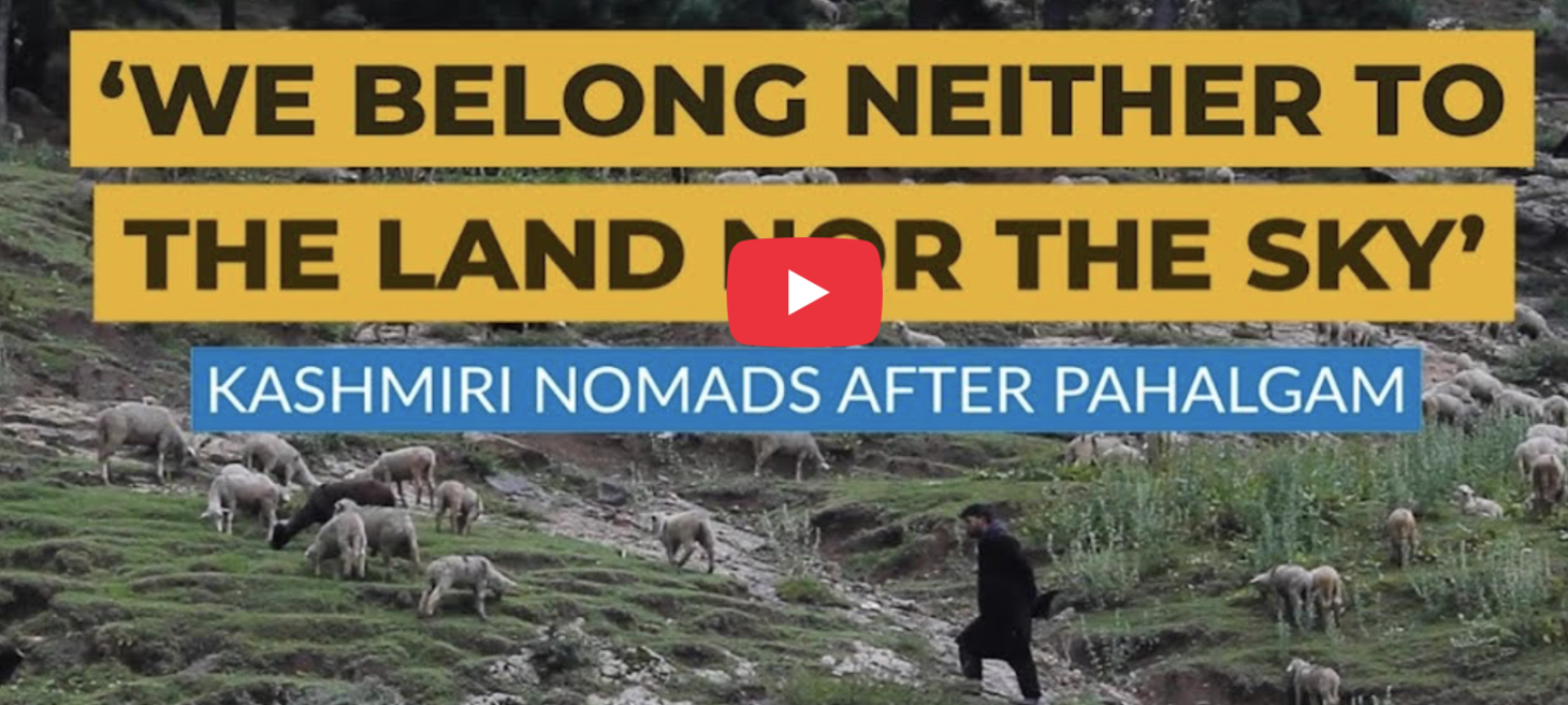 ‘We Belong Neither to the Land Nor the Sky’: Kashmiri Nomads After Pahalgam
