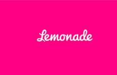 Lemonade Shareholder Letter Q2 2025