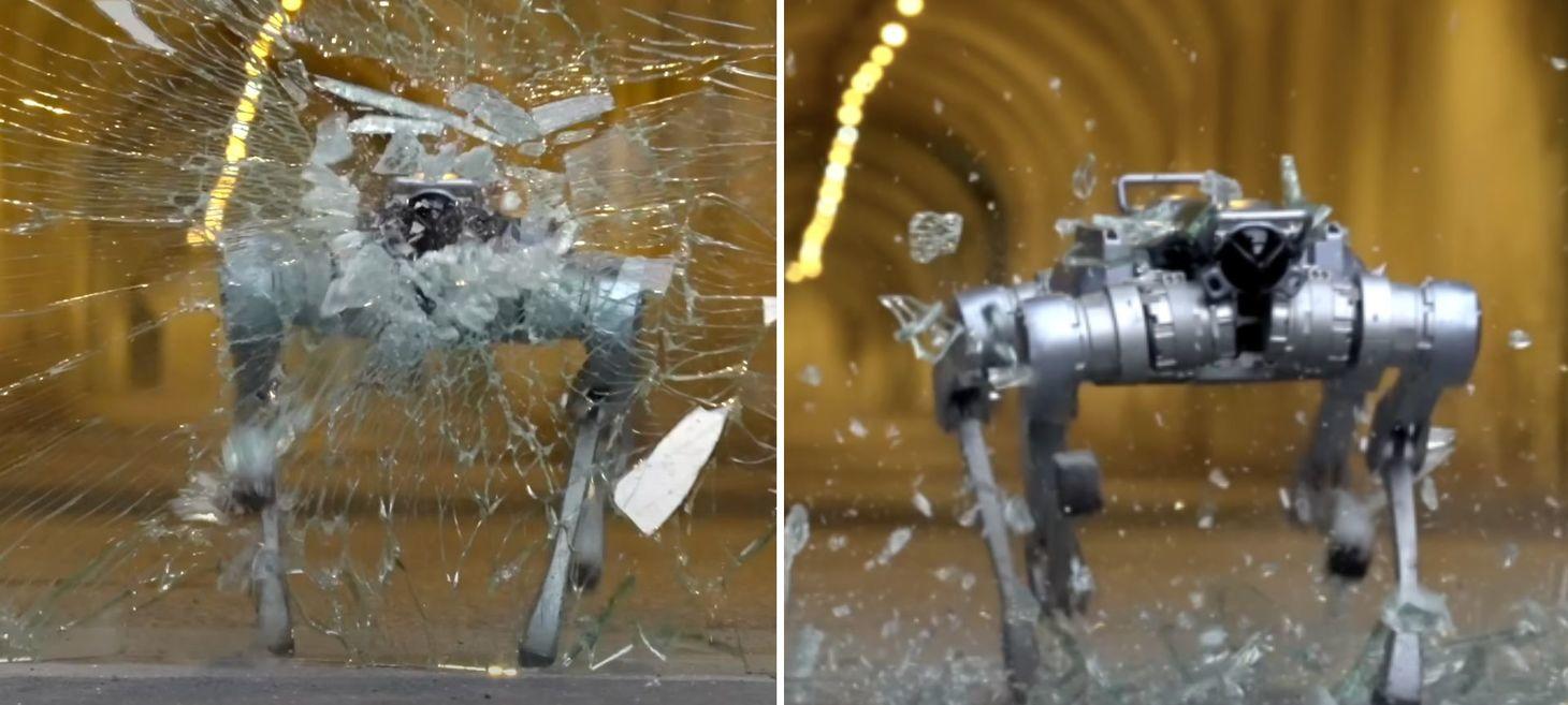 Unitree’s glass-shattering robot dog scales slopes, carries loads