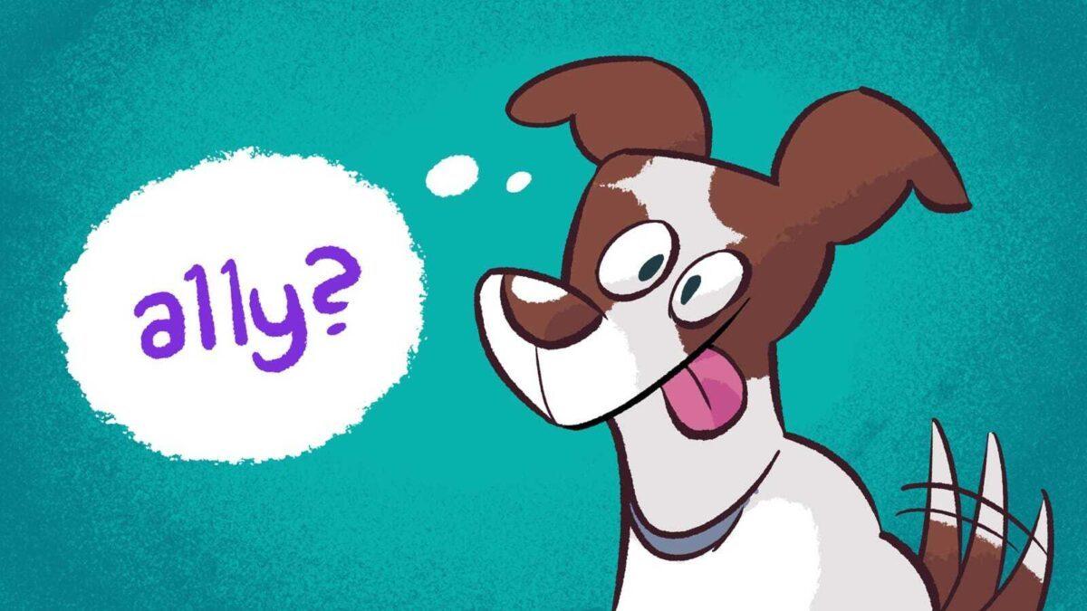 How our dog increased my appreciation for accessibility