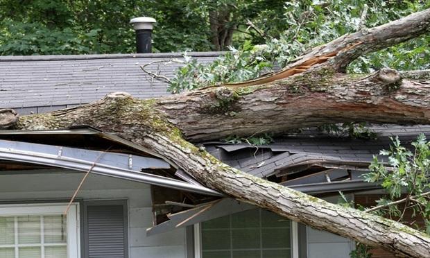 Hurricane claims reveal tough roofing realities