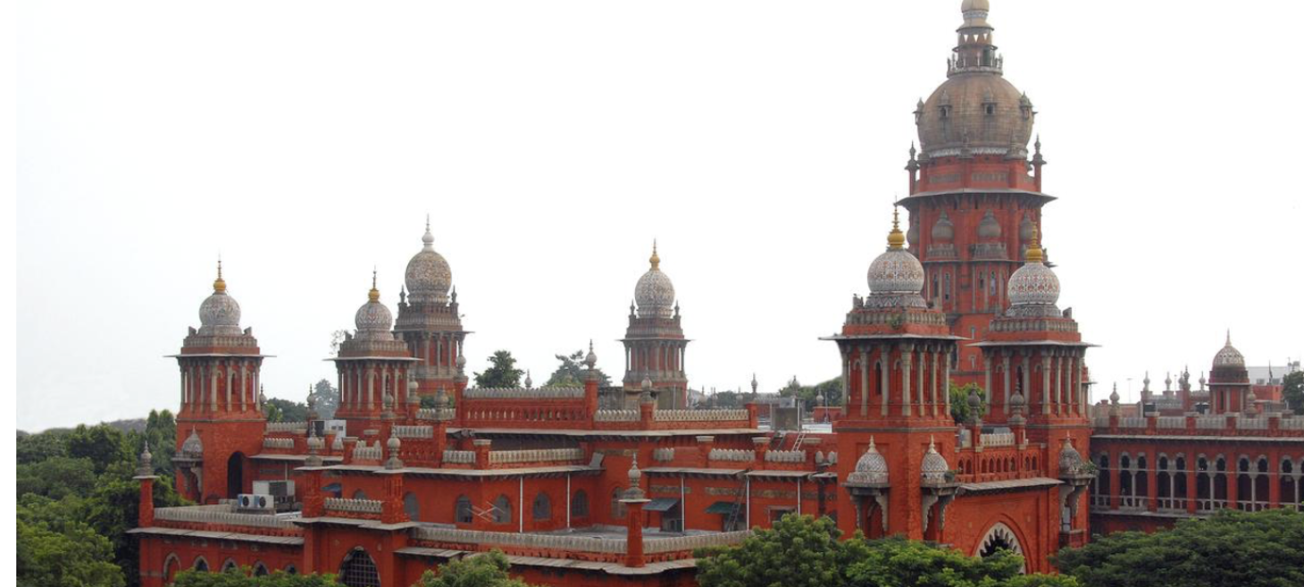 Madras HC refuses to halt Chennai municipal body from privatising sanitation work