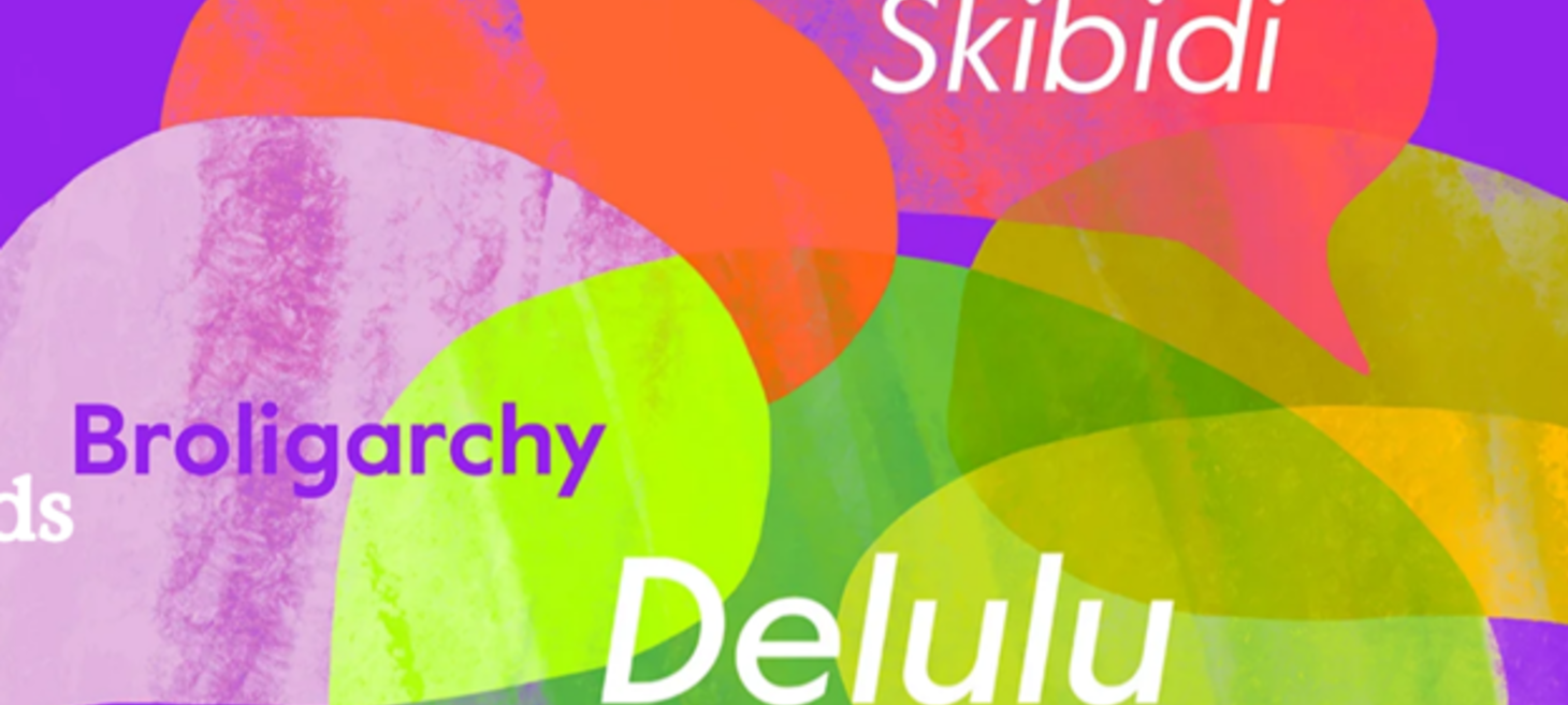 What the skibidi! | Cambridge Dictionary