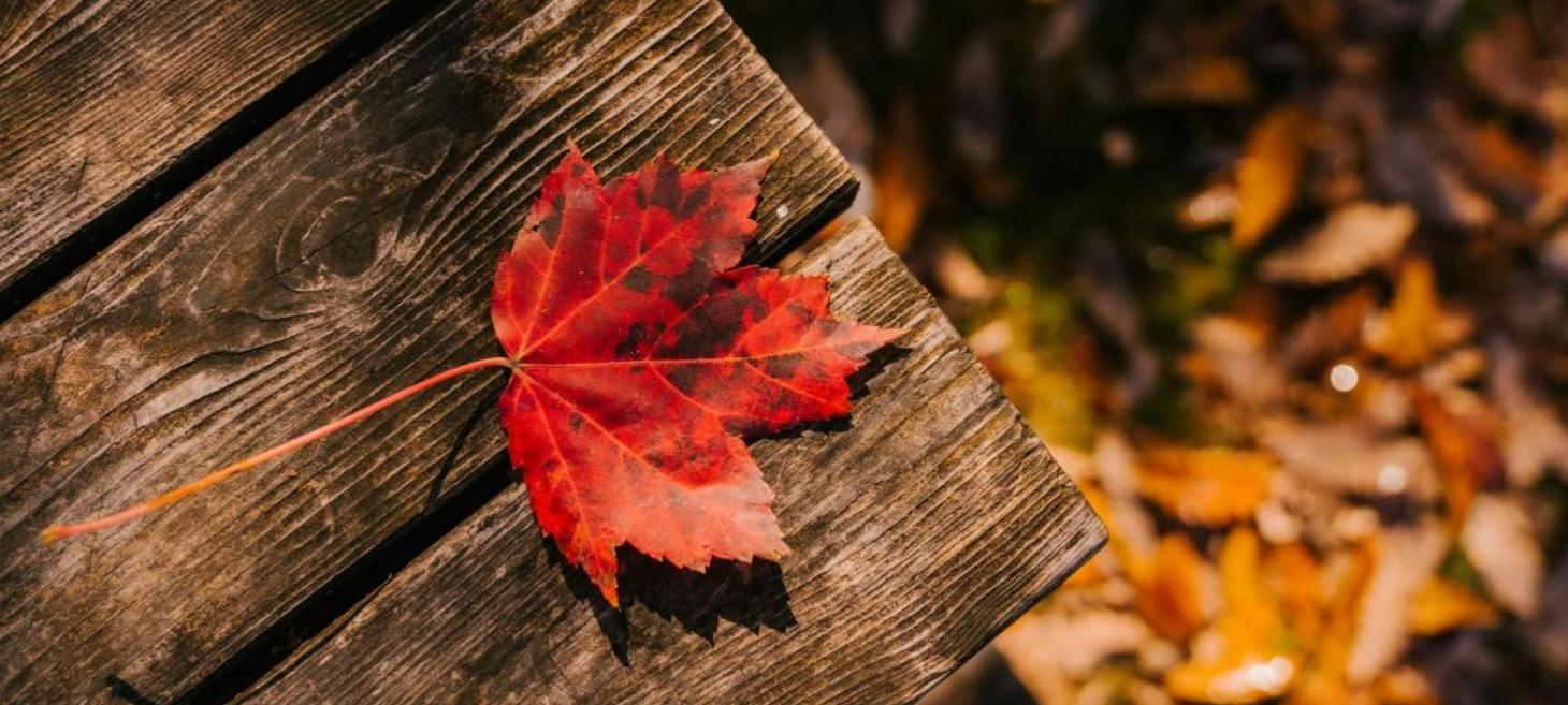 “September” by Lucy Maud Montgomery