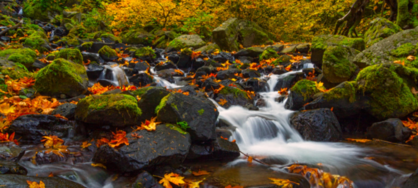 Photographing Waterfalls in Autumn