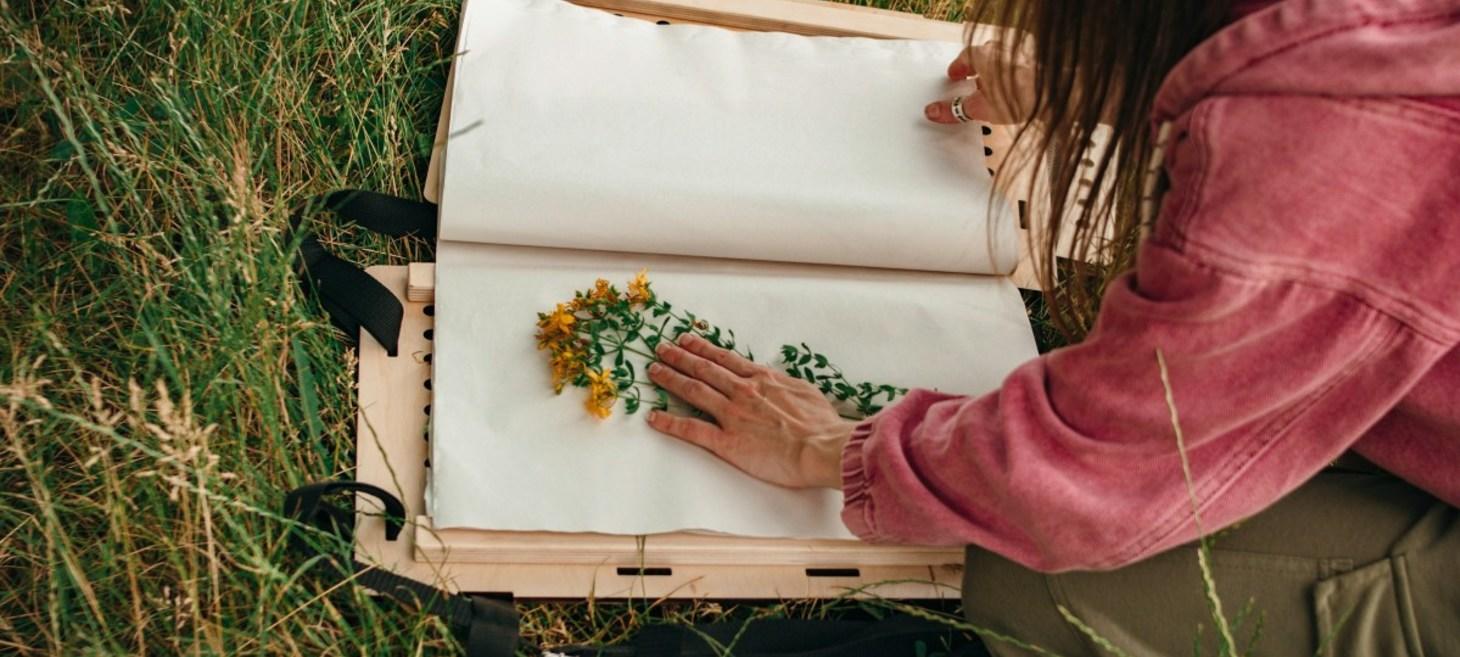 Free e-book: “My Herbarium” by Anne Wales Abbot