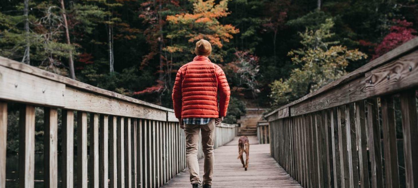 Autumn listening tips