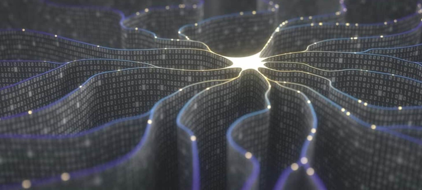 Does the neuroscience of human intelligence substructure support AI doomers? - WorldHealth.net