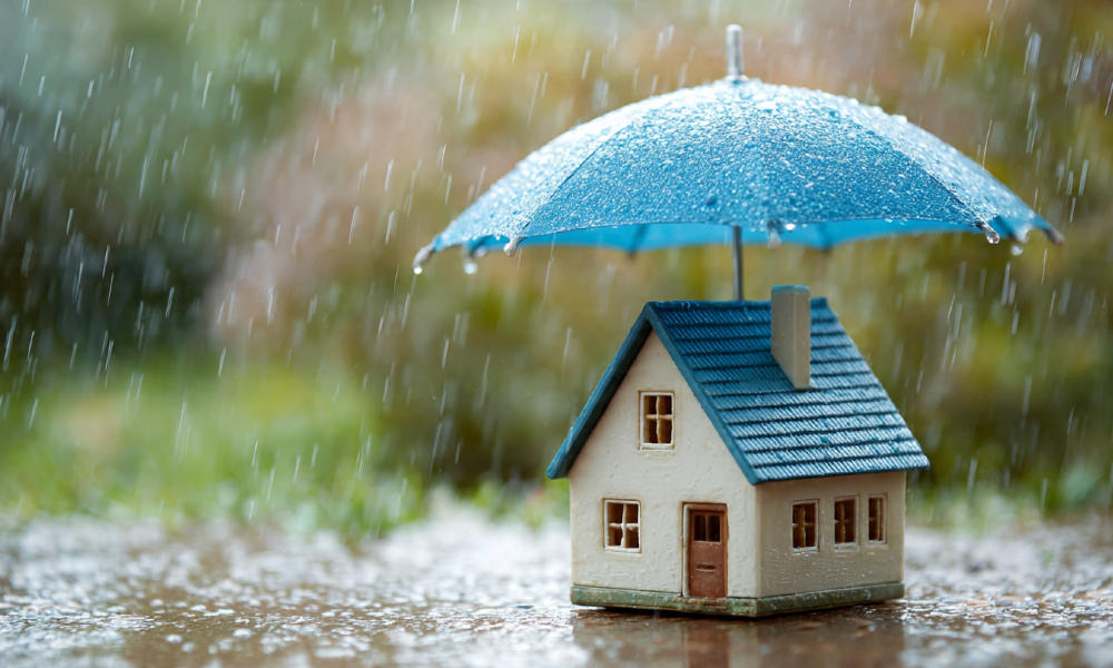 In property insurance, profit pockets hide amid the volatility