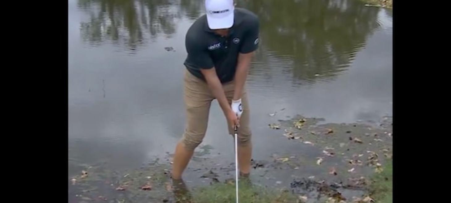 Tour pro hit a shot while standing dangerously close to a lurking alligator