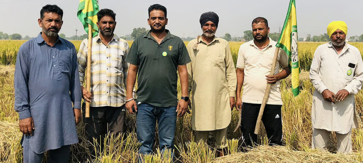 ‘Jailing farmers doesn’t help anyone’: After floods wrecked harvest, Punjab stares at the parali puzzle