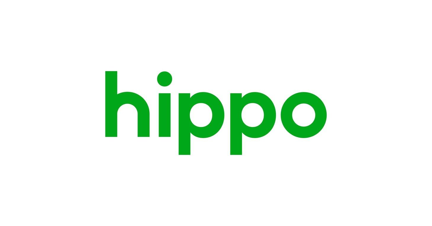 Hippo Holdings' Spinnaker Insurance Company Celebrates 10 Years of Innovation, Profitable Growth, and Service