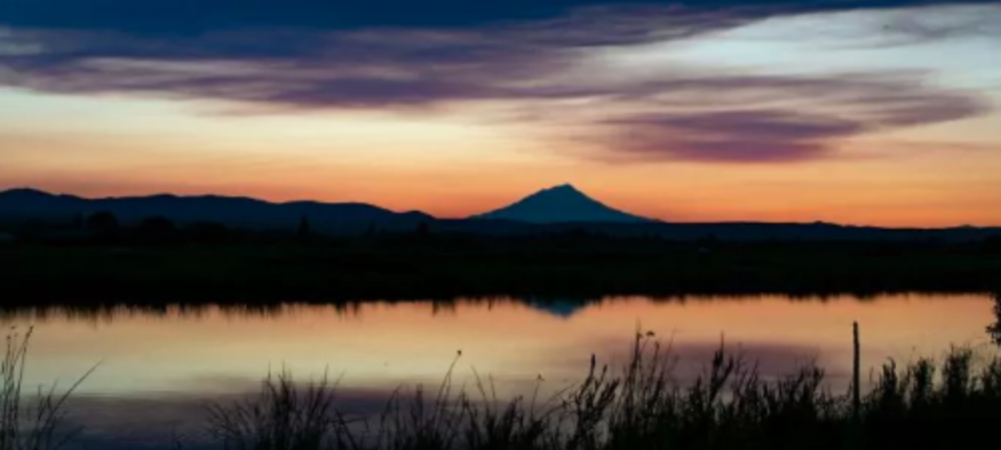 Bill protecting Shasta and Scott River salmon gets signed