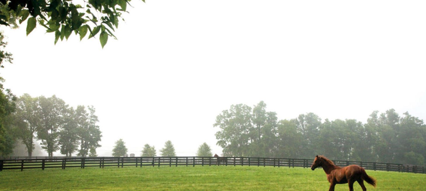 The Magnolia League Guide to Keeneland