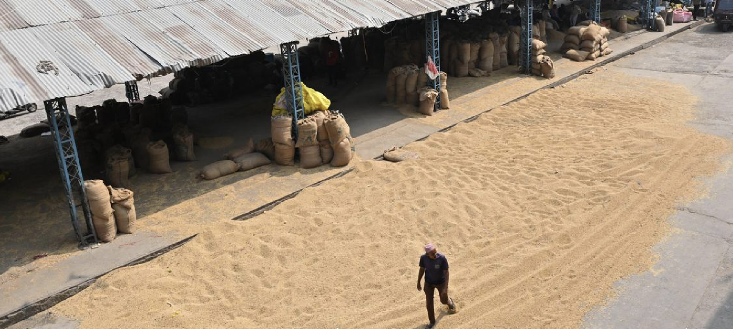 Trouble in ‘soy State’: Madhya Pradesh soybean farmers lose interest over multiple factors