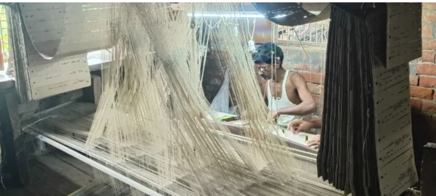 Pineapples offer a lifeline to traditional saree weavers in Banaras