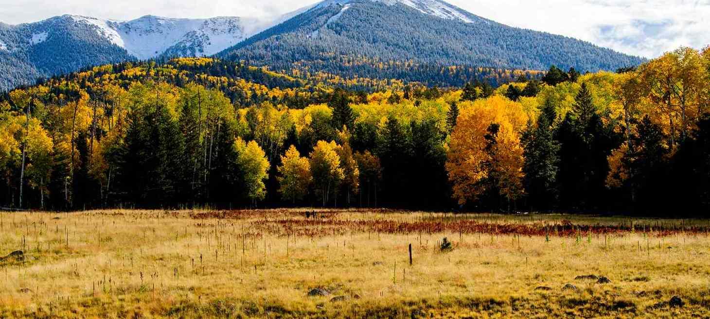 10 Places in the U.S. Where Fall Foliage Is Still Peaking Into November