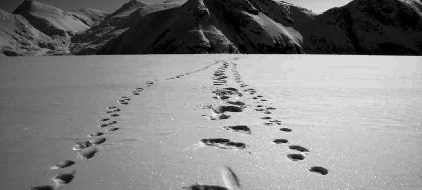 How good Product Managers track competitors