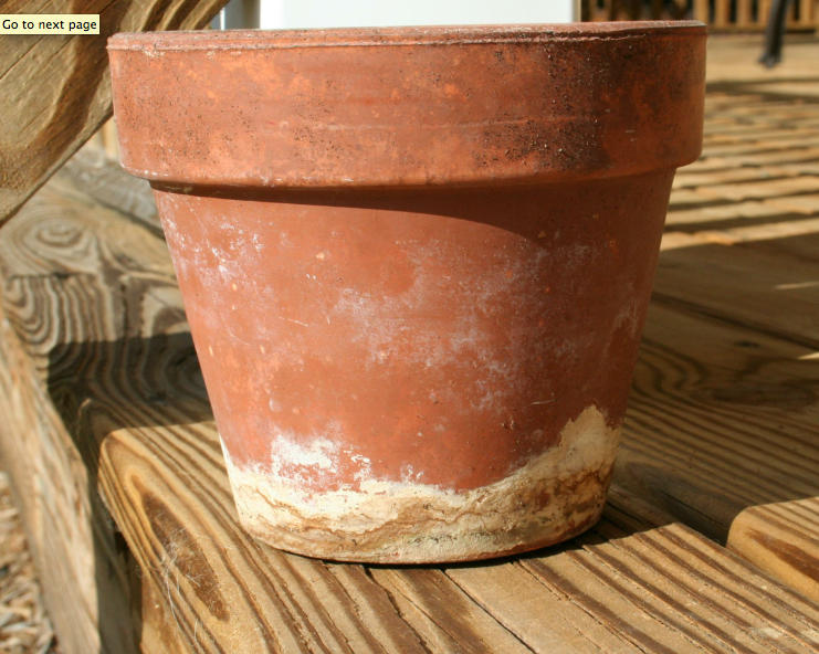 How to Clean Crusty Terra Cotta Pots