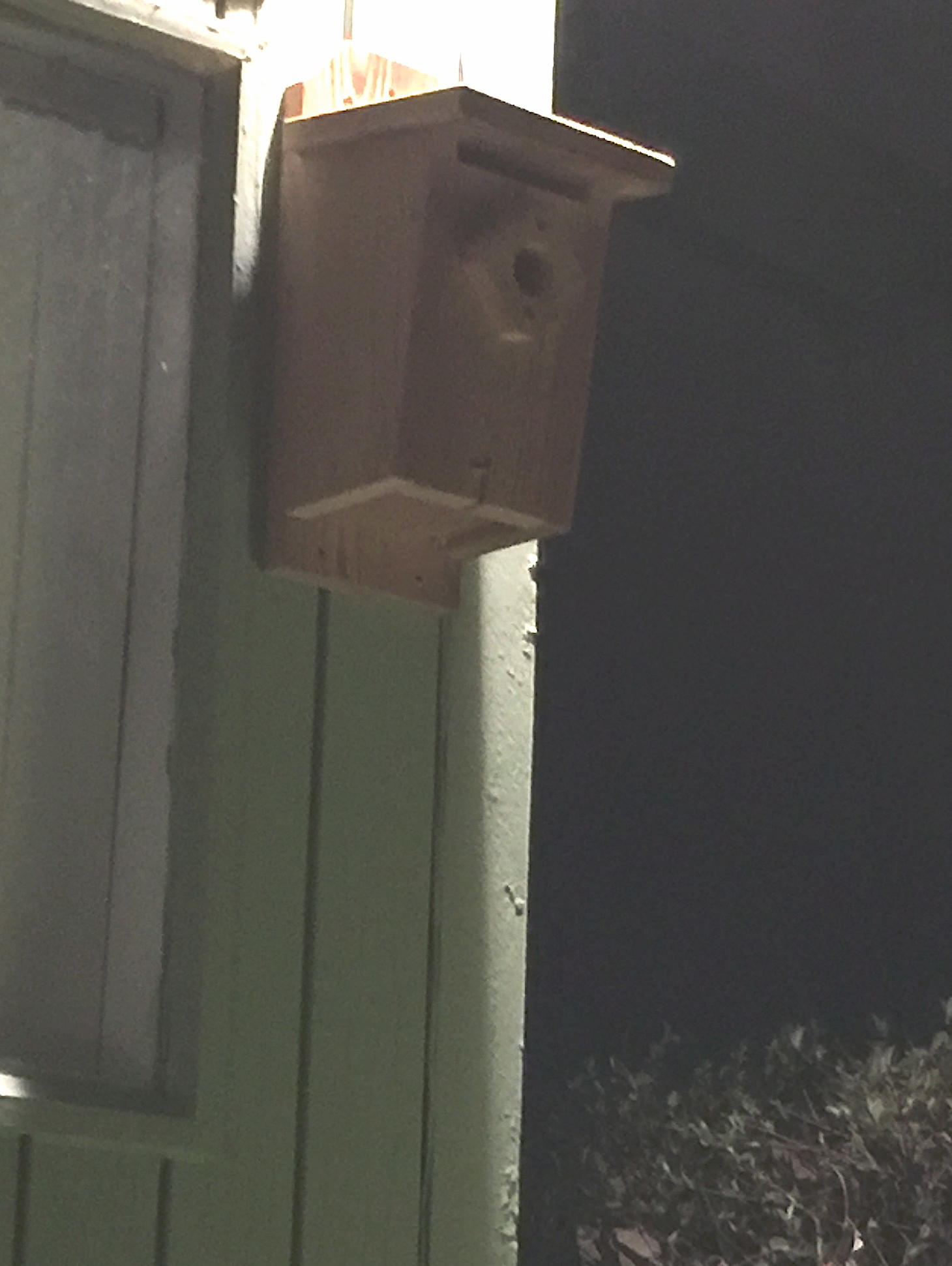 Audubon Talks about Building Nest Boxes