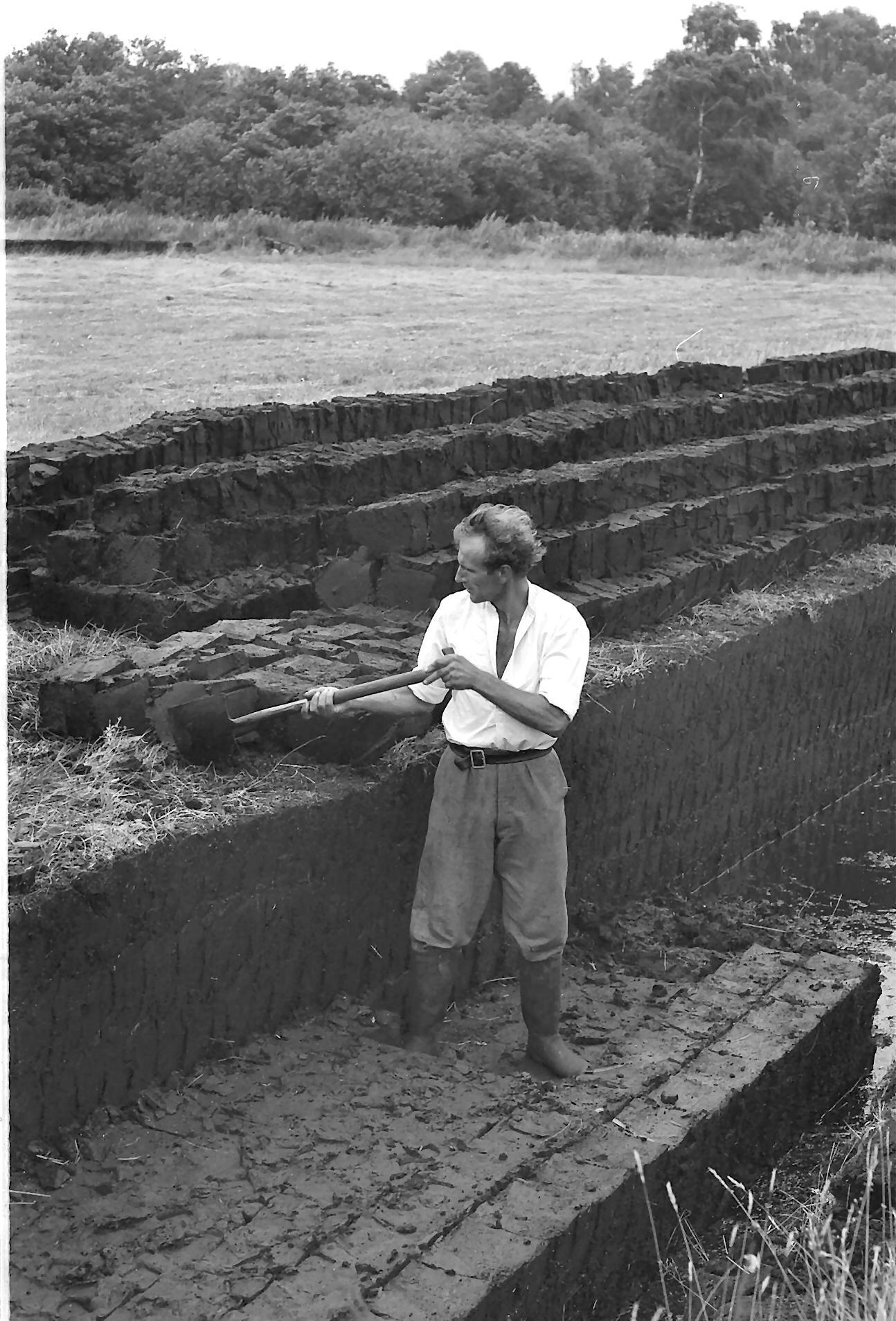 Going Peat Free