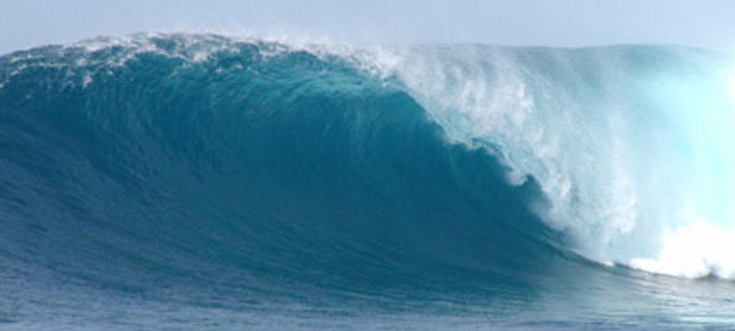 COMFORTABLY NUMB - Surfing November Waves at JAWS