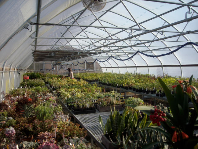 Podcast: Kermit Carter of FBTS on Garden Radio America