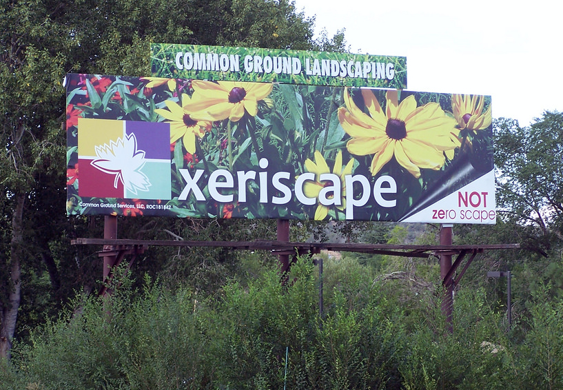 Getting Started: What Is Drought and Xeriscaping?