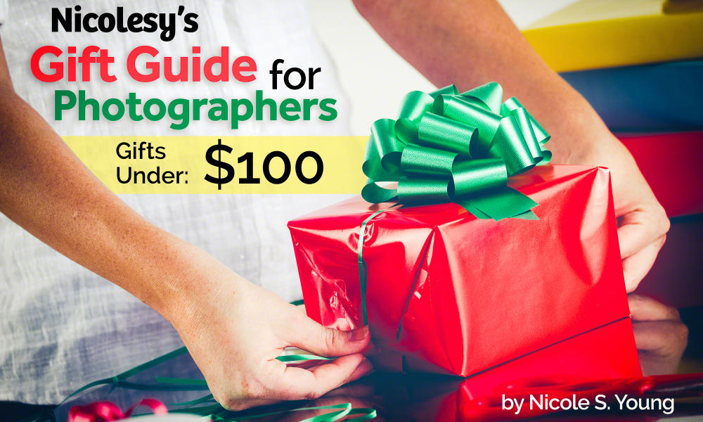 Ten Gifts for Photographers Under $100
