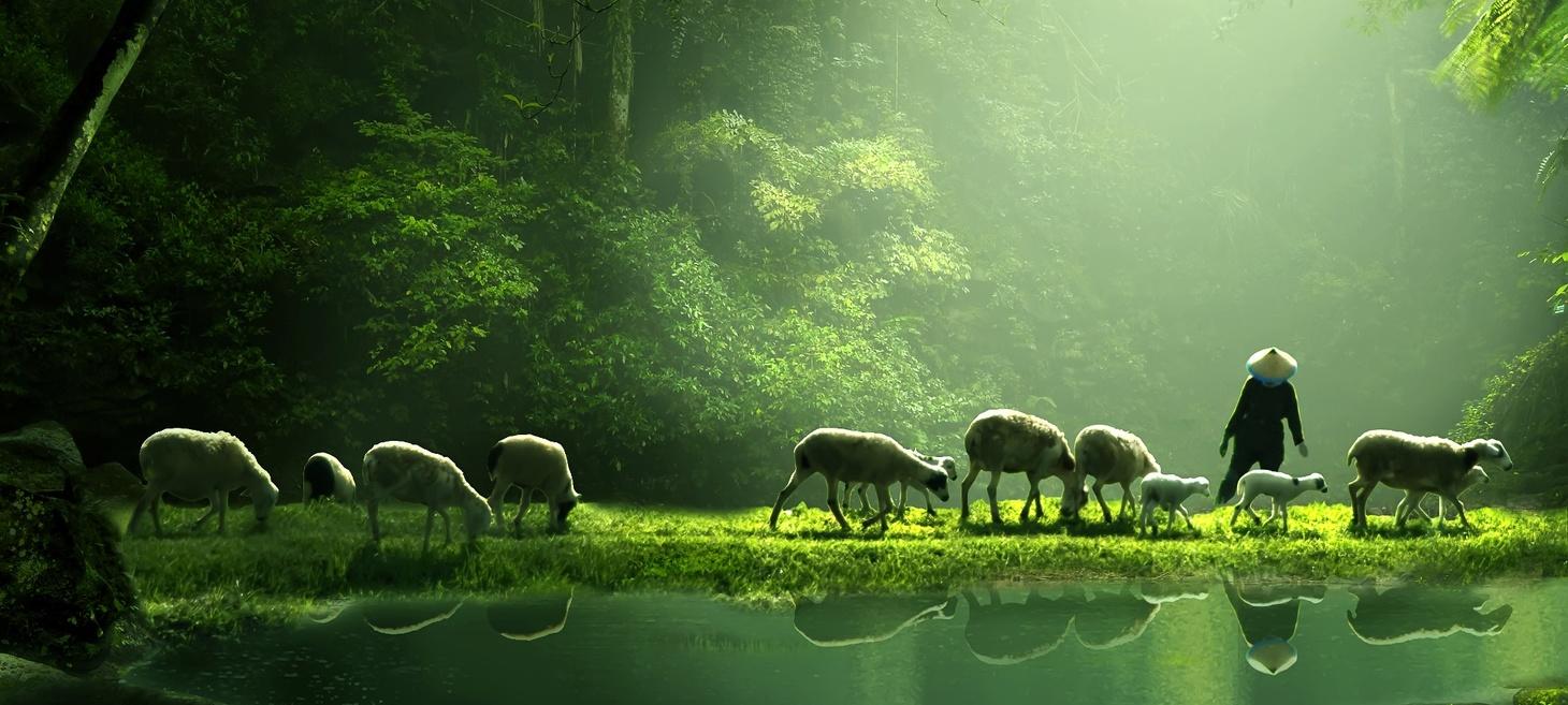 the shepherd by Herry Faizal