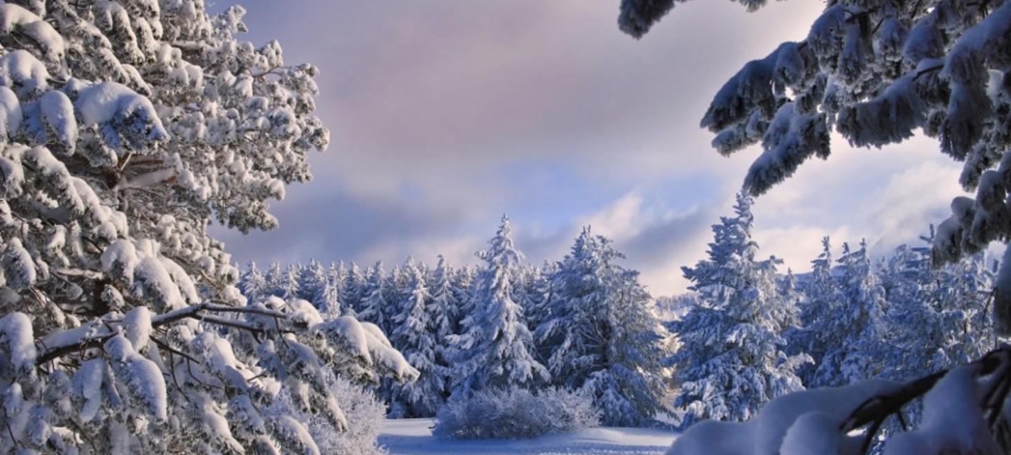 ending of winter day by Plamen Troshev