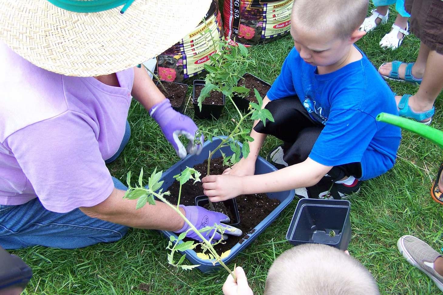 Looking Back on Learning to Garden in Childhood