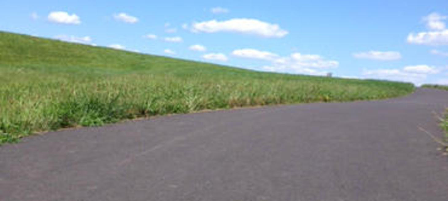 The road to digital bliss is paved with service thinking and DevOps