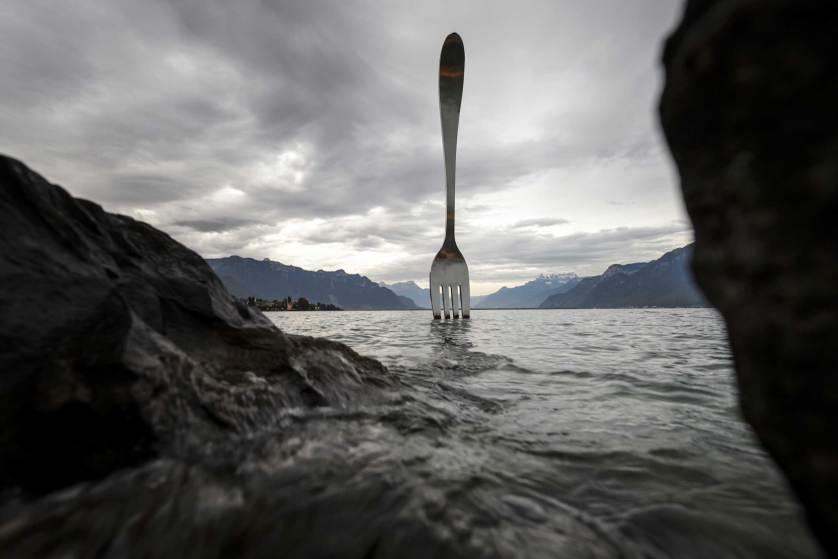 TIME's Most Surprising Photos of 2014