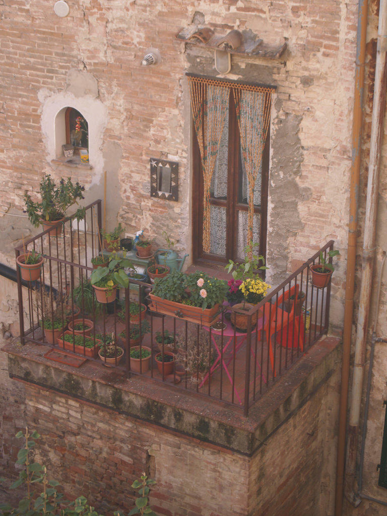 Photo Essay: Gardening in a Small Space