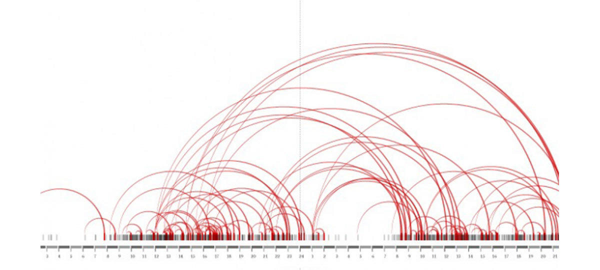 A Look at Arc Diagrams