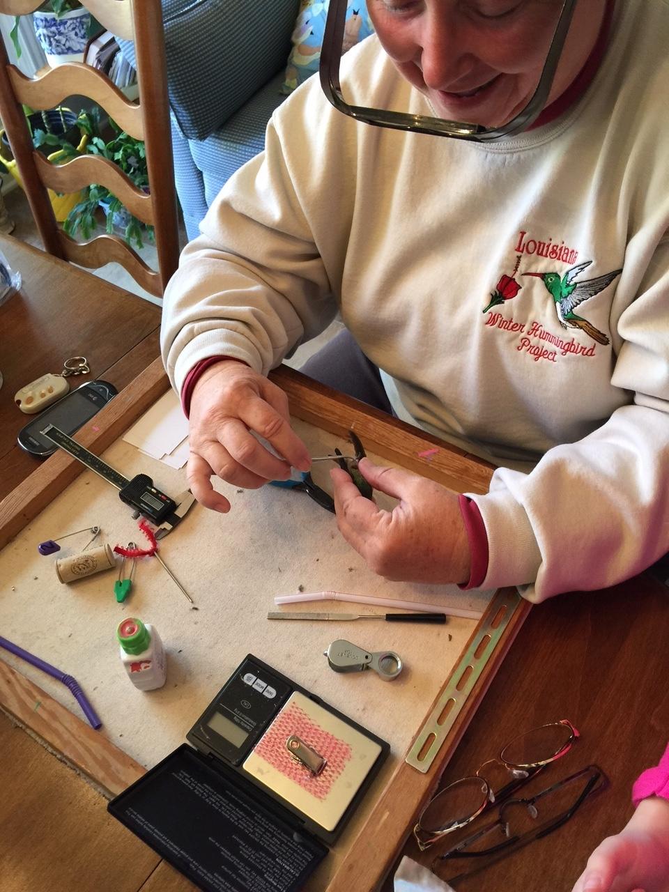 Sage Experts: Nancy Newfield's Hummingbird Journey