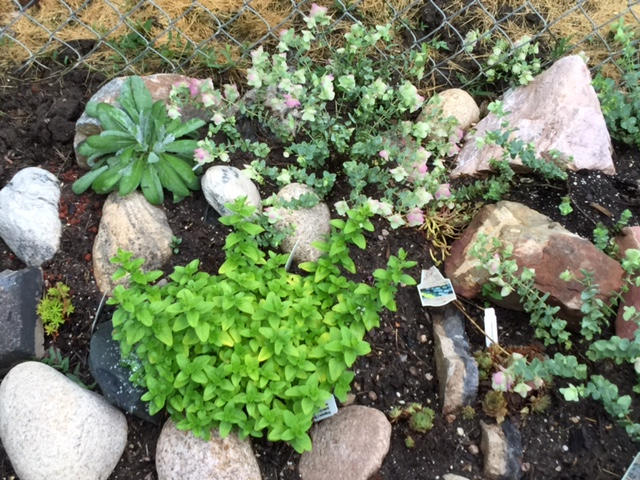 Stones Are Rock Stars for Improving Garden Soil